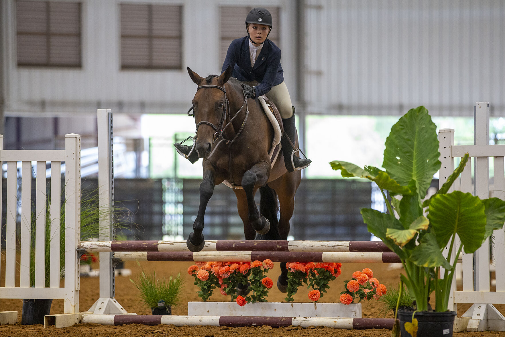 4-H horse show